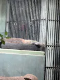 名古屋市東山動植物園に投稿された画像（2026/5/2）