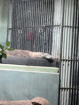 名古屋市東山動植物園に投稿された画像（2026/5/2）