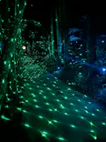 美らヤシパークオキナワ・東南植物楽園に投稿された画像（2026/5/2）