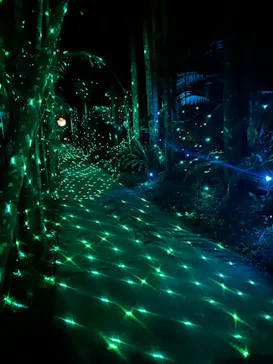美らヤシパークオキナワ・東南植物楽園に投稿された画像（2026/5/2）