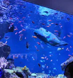 仙台うみの杜水族館に投稿された画像（2026/5/2）