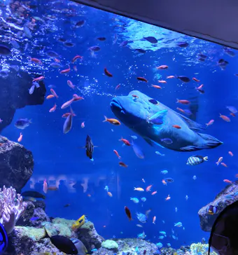 仙台うみの杜水族館に投稿された画像（2026/5/2）