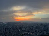 ハルカス300(展望台)に投稿された画像（2026/5/2）