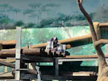 天王寺動物園に投稿された画像（2026/5/2）