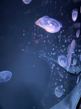 サンシャイン水族館に投稿された画像（2026/5/2）