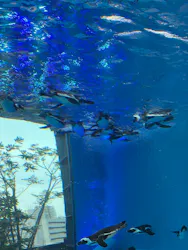 サンシャイン水族館に投稿された画像（2026/5/2）