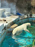 天王寺動物園に投稿された画像（2026/5/3）