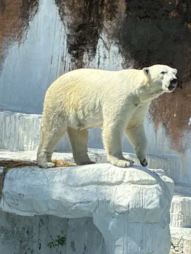 天王寺動物園に投稿された画像（2026/5/2）