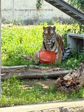 天王寺動物園に投稿された画像（2026/5/2）