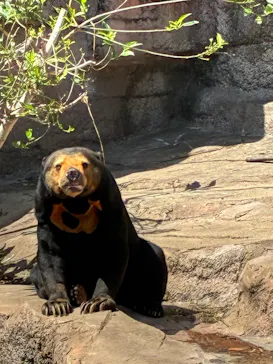 天王寺動物園に投稿された画像（2026/5/2）