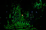 美らヤシパークオキナワ・東南植物楽園に投稿された画像（2026/5/3）