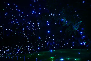 美らヤシパークオキナワ・東南植物楽園に投稿された画像（2026/5/2）