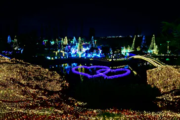 美らヤシパークオキナワ・東南植物楽園に投稿された画像（2026/5/2）