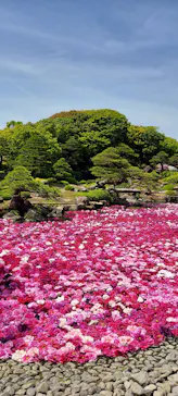日本庭園　由志園に投稿された画像（2026/5/2）