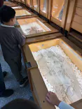 福井県立恐竜博物館に投稿された画像（2026/5/3）