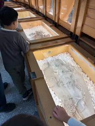 福井県立恐竜博物館に投稿された画像（2026/5/2）