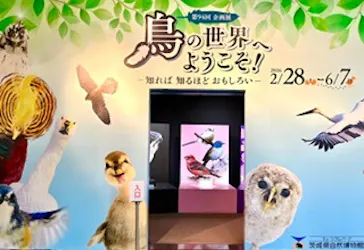 ミュージアムパーク茨城県自然博物館に投稿された画像（2026/5/2）