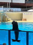 伊豆・三津シーパラダイスに投稿された画像（2026/5/3）