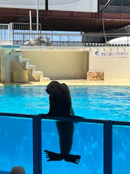 伊豆・三津シーパラダイスに投稿された画像（2026/5/2）