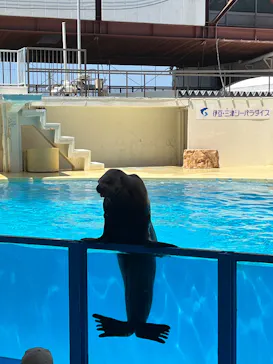 伊豆・三津シーパラダイスに投稿された画像（2026/5/2）