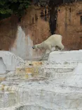 天王寺動物園に投稿された画像（2026/5/3）
