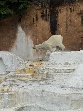 天王寺動物園に投稿された画像（2026/5/2）