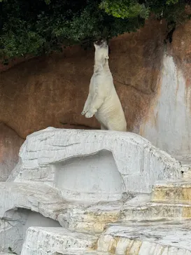 天王寺動物園に投稿された画像（2026/5/2）
