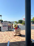 鈴鹿サーキットに投稿された画像（2026/5/3）