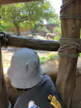 天王寺動物園に投稿された画像（2026/5/3）