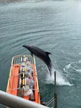 下田海中水族館に投稿された画像（2026/5/3）