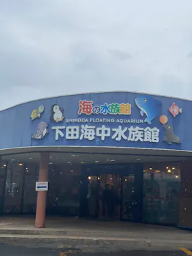 下田海中水族館に投稿された画像（2026/5/3）