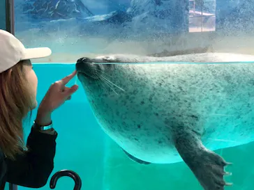 下田海中水族館に投稿された画像（2026/5/3）