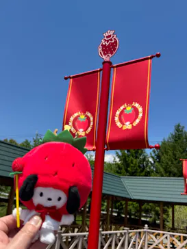 山梨いちごの王さまミュージアムに投稿された画像（2026/5/3）