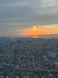 ハルカス300(展望台)に投稿された画像（2026/5/3）