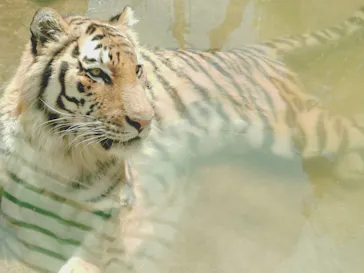 いしかわ動物園に投稿された画像（2026/5/3）