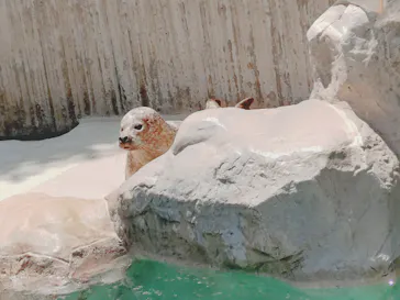 いしかわ動物園に投稿された画像（2026/5/3）