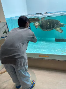 仙台うみの杜水族館に投稿された画像（2026/5/3）