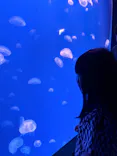 大分マリーンパレス水族館 「うみたまご」に投稿された画像（2026/5/3）