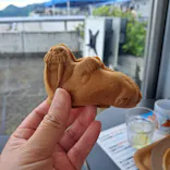 大分マリーンパレス水族館 「うみたまご」に投稿された画像（2026/5/3）
