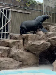 サンシャイン水族館に投稿された画像（2026/5/3）