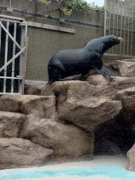 サンシャイン水族館に投稿された画像（2026/5/3）