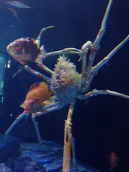 サンシャイン水族館に投稿された画像（2026/5/3）