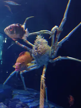 サンシャイン水族館に投稿された画像（2026/5/3）
