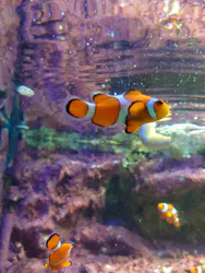 サンシャイン水族館に投稿された画像（2026/5/3）