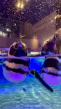 すみだ水族館に投稿された画像（2026/5/3）