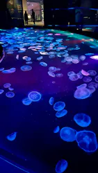 すみだ水族館に投稿された画像（2026/5/3）