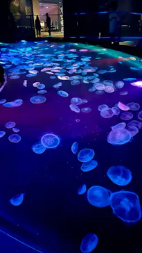 すみだ水族館に投稿された画像（2026/5/3）