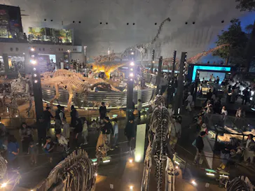福井県立恐竜博物館に投稿された画像（2026/5/3）