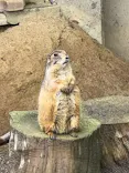 鹿児島市平川動物公園に投稿された画像（2026/5/3）