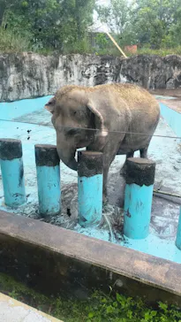 鹿児島市平川動物公園に投稿された画像（2026/5/3）